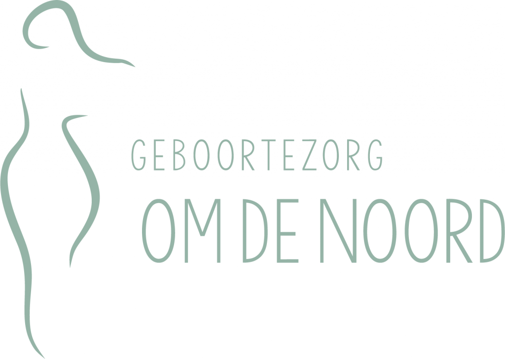 Geboortezorg om de Noord